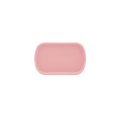 Plato postre tutti fruti 20x13m
