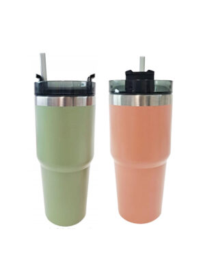 Vasos térmicos de 1/2 litros con tapa y sorbete, color verde y rosa
