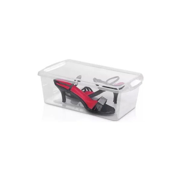 Organizador de zapatos X3