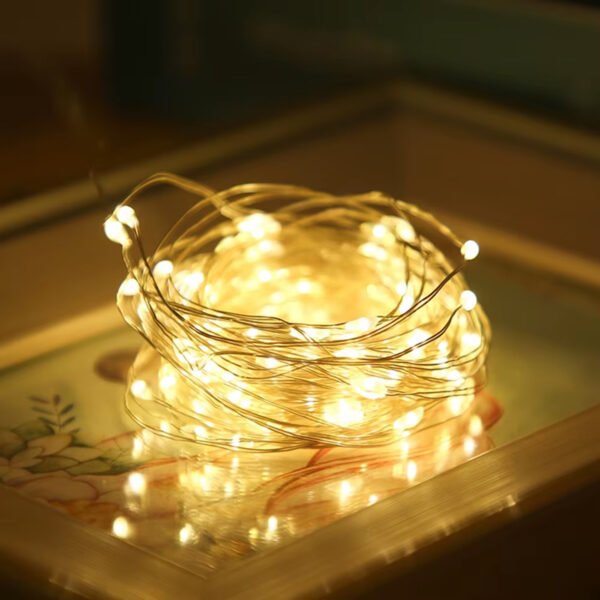 Luz de alambre a pilas x30 led blancas cálidas 3mts