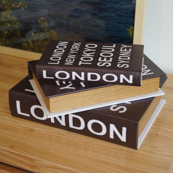 Set x3 cajas libros decorativos modelo Ciudades