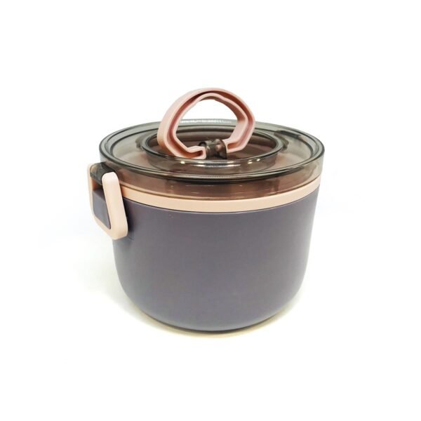 Lunchera vianda de plastico con recipiente de acero desmontable