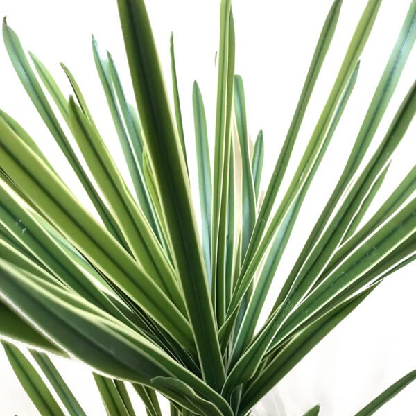 Planta artificial Dracena 1mtr
