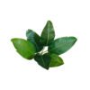 Planta artificial Strelitzia 135cm