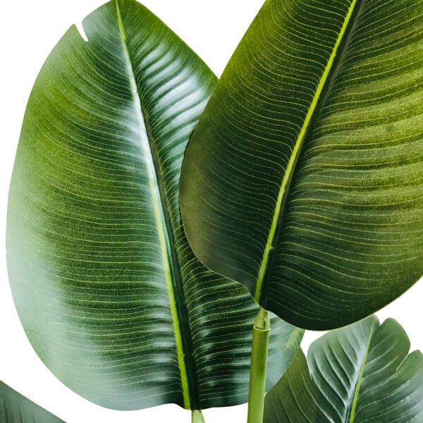 Planta artificial Strelitzia 135cm