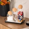 Frasco de Vidrio Borosilicato con Tapa Corcho 850ml